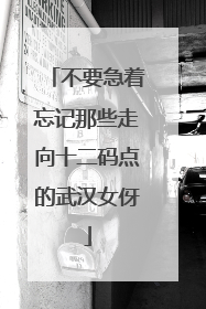 不要急着忘记那些走向十二码点的武汉女伢