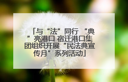 与“法”同行 “典”亮港口 宿迁港口集团组织开展“民法典宣传月”系列活动
