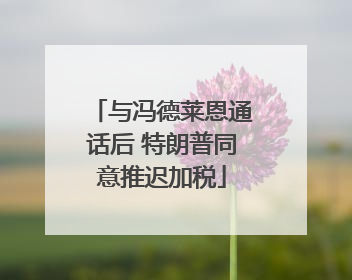与冯德莱恩通话后 特朗普同意推迟加税