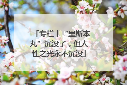 专栏丨“里斯本丸”沉没了，但人性之光永不沉没