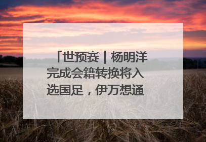 世预赛｜杨明洋完成会籍转换将入选国足，伊万想通了要打双后腰？