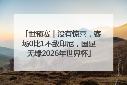 世预赛｜没有惊喜，客场0比1不敌印尼，国足无缘2026年世界杯