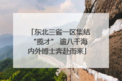 东北三省一区集结“揽才” 逾八千海内外博士奔赴而来