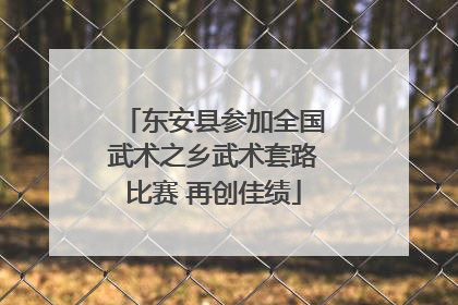 东安县参加全国武术之乡武术套路比赛 再创佳绩