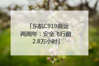 东航C919商运两周年：安全飞行超2.8万小时