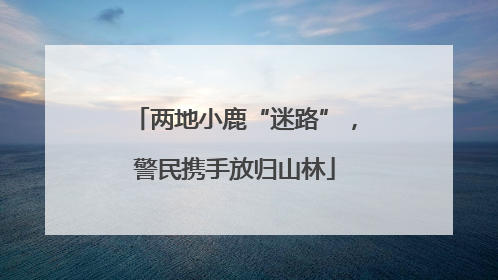 两地小鹿“迷路”，警民携手放归山林
