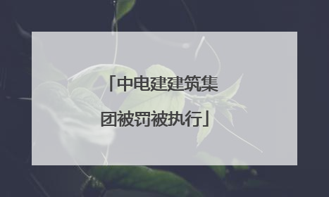中电建建筑集团被罚被执行