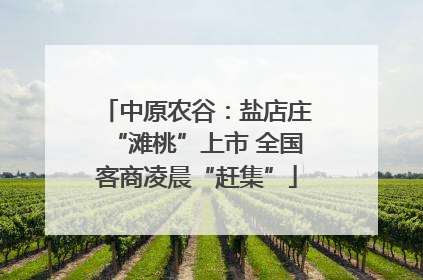 中原农谷：盐店庄“滩桃”上市 全国客商凌晨“赶集”