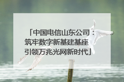 中国电信山东公司：筑牢数字新基建基座 引领万兆光网新时代