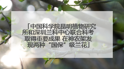 中国科学院昆明植物研究所和深圳兰科中心联合科考取得重要成果 在神农架发现两种“国保”级兰花