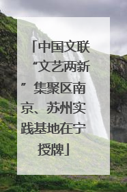 中国文联“文艺两新”集聚区南京、苏州实践基地在宁授牌