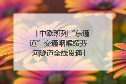 中欧班列“东通道”交通咽喉绥芬河隧道全线贯通