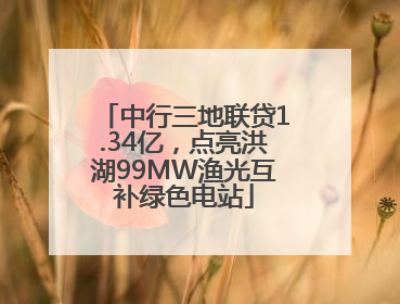 中行三地联贷1.34亿，点亮洪湖99MW渔光互补绿色电站