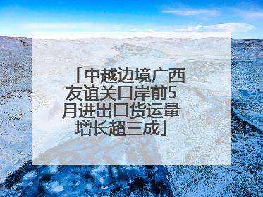 中越边境广西友谊关口岸前5月进出口货运量增长超三成