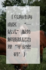 乌海市海南区：“一站式”服务解锁基层治理“平安密码”