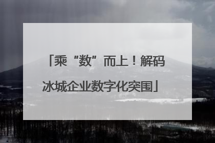 乘“数”而上！解码冰城企业数字化突围