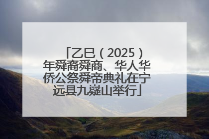 乙巳（2025）年舜裔舜商、华人华侨公祭舜帝典礼在宁远县九嶷山举行