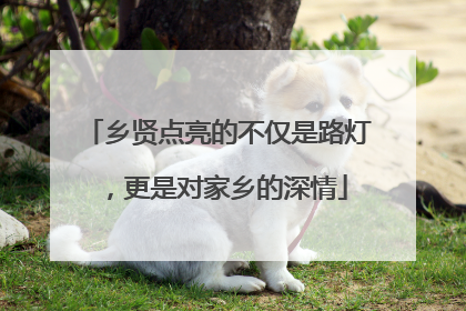 乡贤点亮的不仅是路灯，更是对家乡的深情