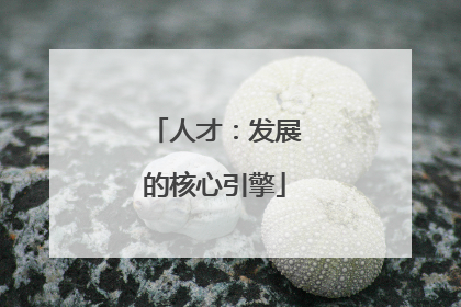 人才：发展的核心引擎