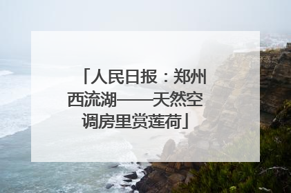 人民日报：郑州西流湖——天然空调房里赏莲荷