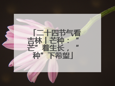 二十四节气看吉林丨芒种：“芒”着生长，“种”下希望