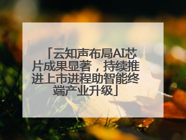 云知声布局AI芯片成果显著，持续推进上市进程助智能终端产业升级
