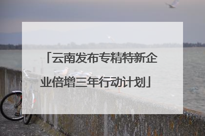 云南发布专精特新企业倍增三年行动计划