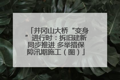井冈山大桥“变身”进行时：拆旧建新同步推进 多举措保障汛期施工（图）