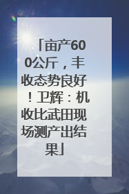 亩产600公斤，丰收态势良好！卫辉：机收比武田现场测产出结果