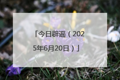 今日辟谣（2025年6月20日）