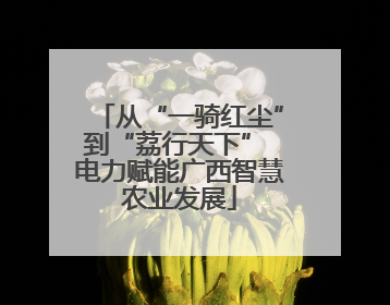 从“一骑红尘”到“荔行天下” 电力赋能广西智慧农业发展