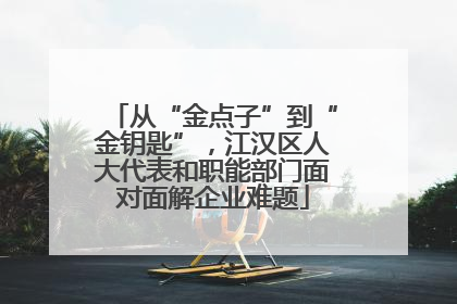 从“金点子”到“金钥匙”，江汉区人大代表和职能部门面对面解企业难题