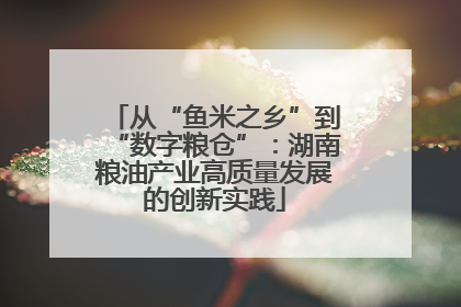 从“鱼米之乡”到“数字粮仓”：湖南粮油产业高质量发展的创新实践