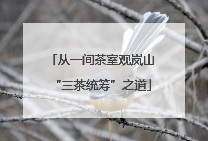 从一间茶室观岚山“三茶统筹”之道