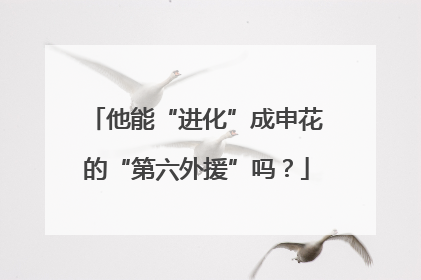 他能“进化”成申花的“第六外援”吗？