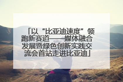 以“比亚迪速度”领跑新赛道——媒体融合发展暨绿色创新实践交流会首站走进比亚迪
