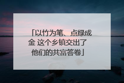 以竹为笔、点绿成金 这个乡镇交出了他们的共富答卷