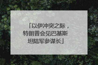 以伊冲突之际,特朗普会见巴基斯坦陆军参谋长