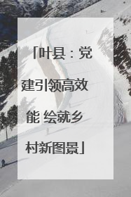 叶县：党建引领高效能 绘就乡村新图景