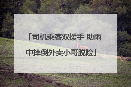 司机乘客双援手 助雨中摔倒外卖小哥脱险