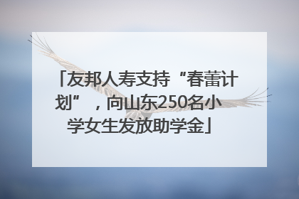 友邦人寿支持“春蕾计划”，向山东250名小学女生发放助学金