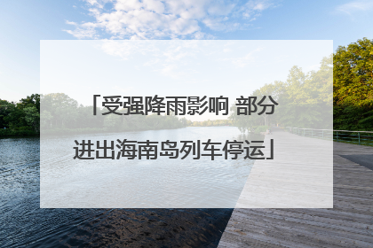 受强降雨影响 部分进出海南岛列车停运