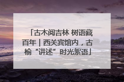 古木阅吉林 树语藏百年｜西关宾馆内，古榆“讲述”时光絮语