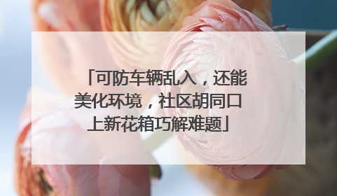 可防车辆乱入，还能美化环境，社区胡同口上新花箱巧解难题