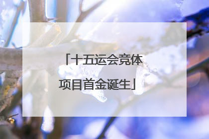 十五运会竞体项目首金诞生