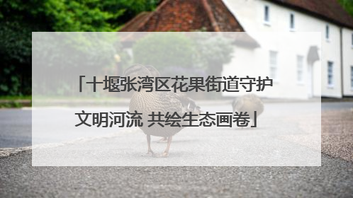 十堰张湾区花果街道守护文明河流 共绘生态画卷