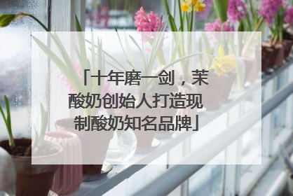 十年磨一剑，茉酸奶创始人打造现制酸奶知名品牌