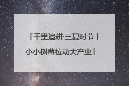 千里追耕·三夏时节丨小小树莓拉动大产业