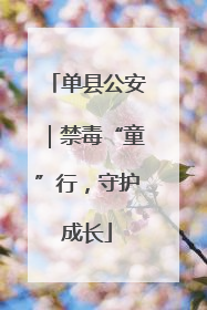 单县公安｜禁毒“童”行，守护成长
