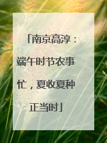 南京高淳：端午时节农事忙，夏收夏种正当时
